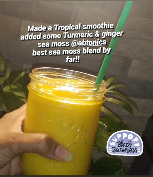 Wellness Blend Sea Moss Gel